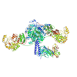 BU of 8tpw by Molmil