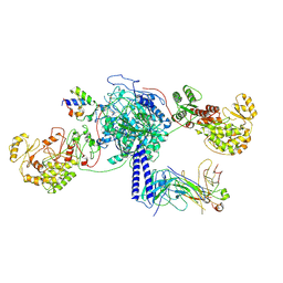 AU of 8tpx by Molmil