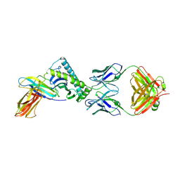 BU of 8tq6 by Molmil