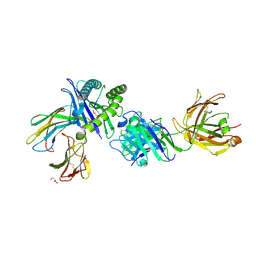 BU of 8tq8 by Molmil