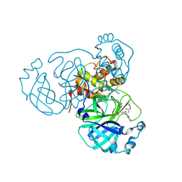 BU of 8tqu by Molmil