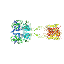 BU of 8tr2 by Molmil