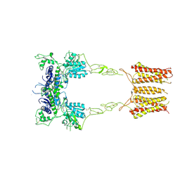 BU of 8trd by Molmil