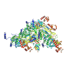 BU of 8trg by Molmil