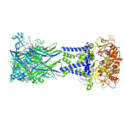 BU of 8trj by Molmil