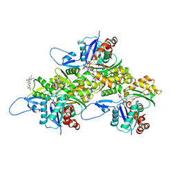 BU of 8trn by Molmil