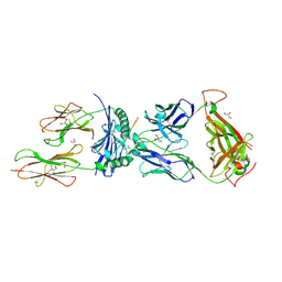 BU of 8trq by Molmil