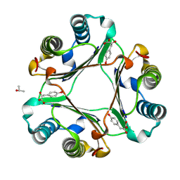 BU of 8tt8 by Molmil