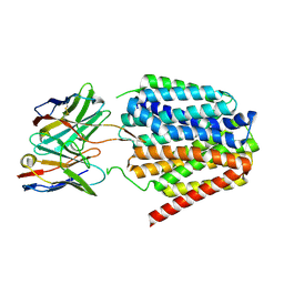 BU of 8tth by Molmil