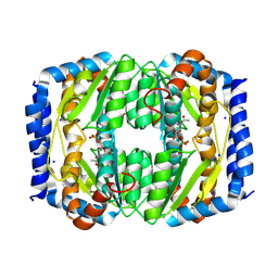 BU of 8tx9 by Molmil