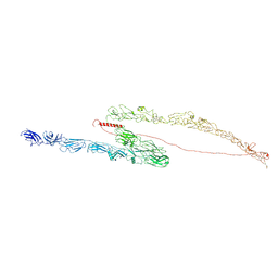 BU of 8txc by Molmil