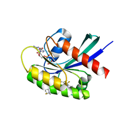 BU of 8txe by Molmil