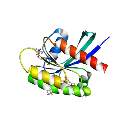 BU of 8txh by Molmil