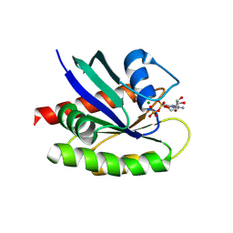 BU of 8txk by Molmil