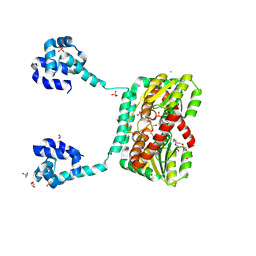 BU of 8txl by Molmil