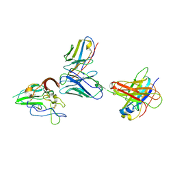 BU of 8txq by Molmil