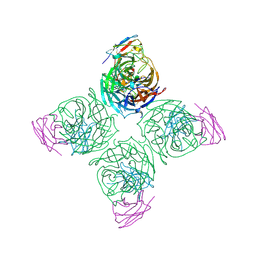 BU of 8u1c by Molmil