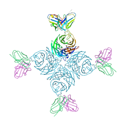 BU of 8u1q by Molmil