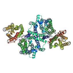 BU of 8u5c by Molmil