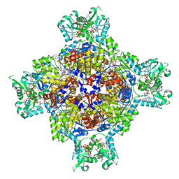 BU of 8u7m by Molmil