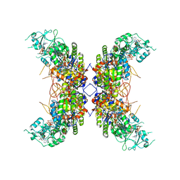 BU of 8u7v by Molmil