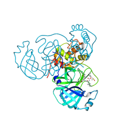 BU of 8u9v by Molmil