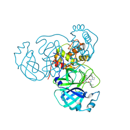 BU of 8u9w by Molmil