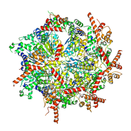 BU of 8ua1 by Molmil