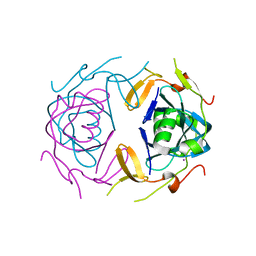 BU of 8ua2 by Molmil