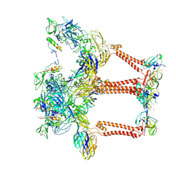 BU of 8ua4 by Molmil