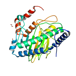 BU of 8uc2 by Molmil