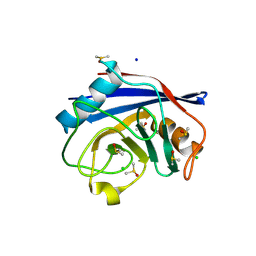 BU of 8uc5 by Molmil