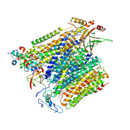 BU of 8ucm by Molmil