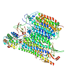 BU of 8ucp by Molmil