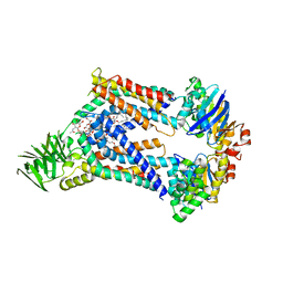 BU of 8ufg by Molmil