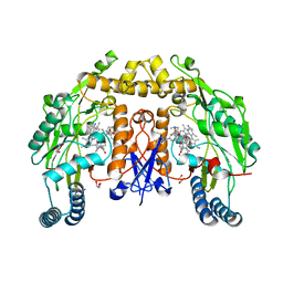 BU of 8ufp by Molmil