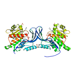 BU of 8ug1 by Molmil