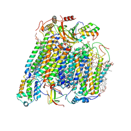 BU of 8ugl by Molmil