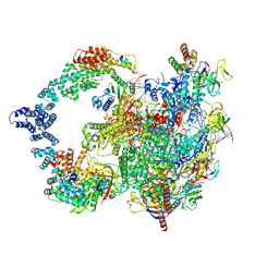 BU of 8uhg by Molmil