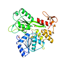 BU of 8um3 by Molmil