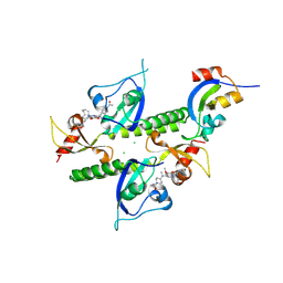 BU of 8umg by Molmil