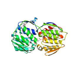 BU of 8uml by Molmil