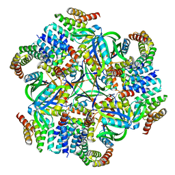 BU of 8umr by Molmil