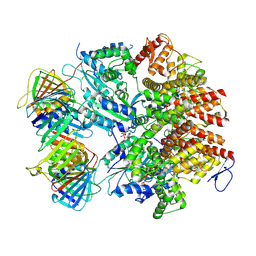 BU of 8umt by Molmil