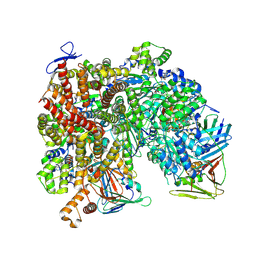 BU of 8umv by Molmil