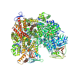 BU of 8umw by Molmil