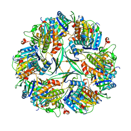 BU of 8un1 by Molmil