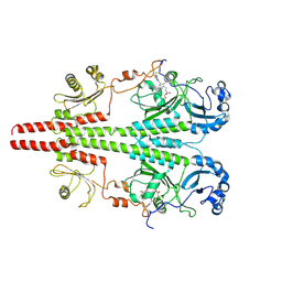 BU of 8upm by Molmil