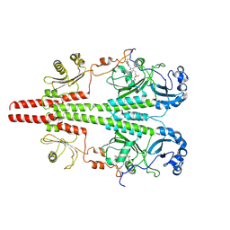 AU of 8upm by Molmil