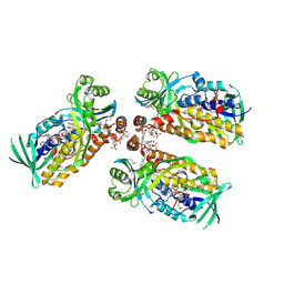 BU of 8urc by Molmil